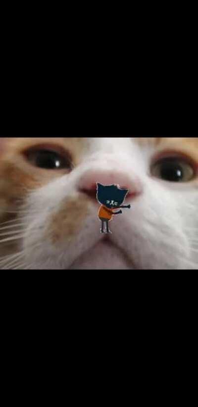 IDK why my GF make this but I felt like it needed to be shared here