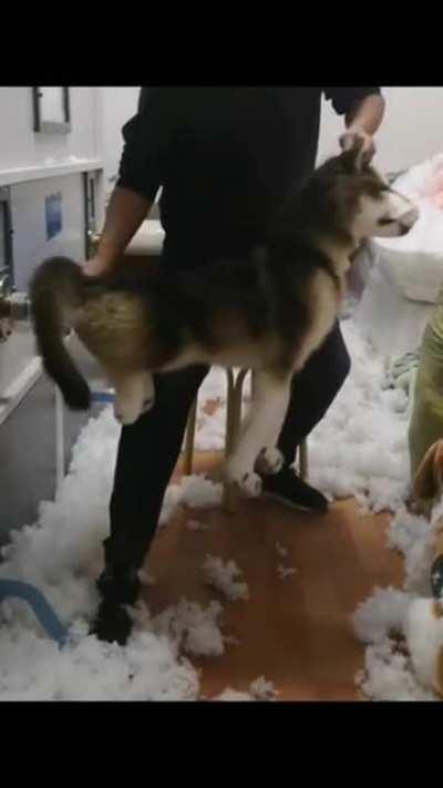 What the hell he is doing?!