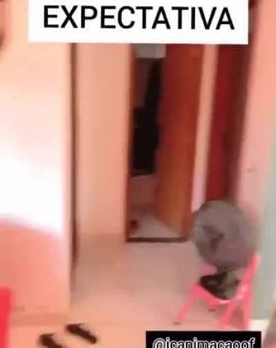 Expectstiva vs Realidade versão BR