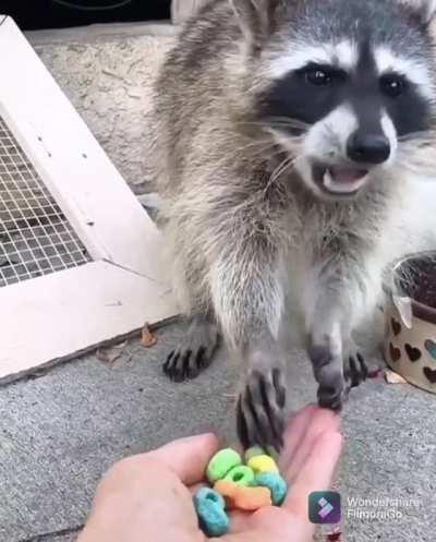 Here, have some snack