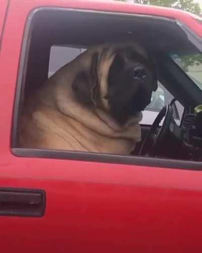 Chillin in his truck