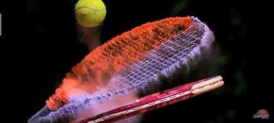 The world is just a sped up Looney Tunes