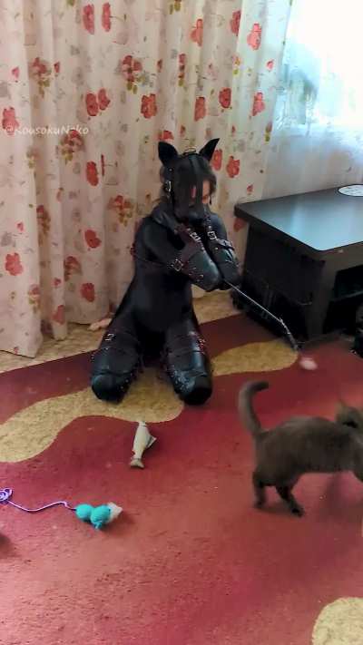 Even my paws couldn't stop me from playing with the kitties