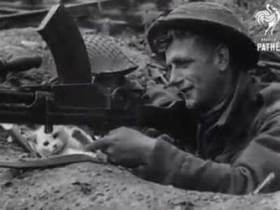 Machine gunner in trenches playing with a cat, 1940.