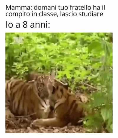 Era molto divertente, e poi prendeva 4...