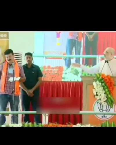 excitement level of translator 📈