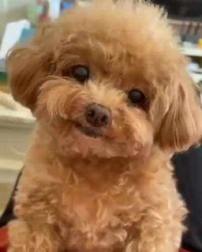 This smile lightens my heart..