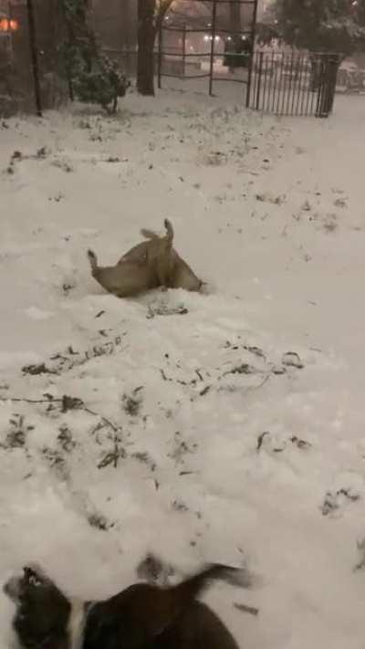 HMK while I go roll around