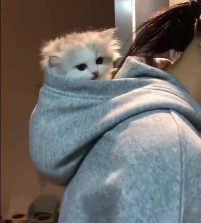 We should always be together