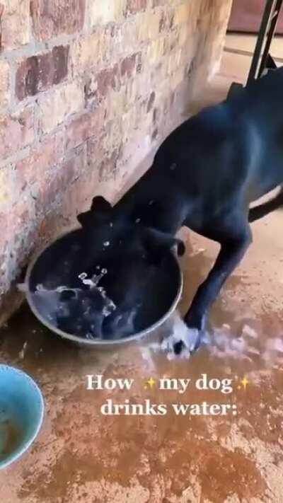 Just how water should be drank.