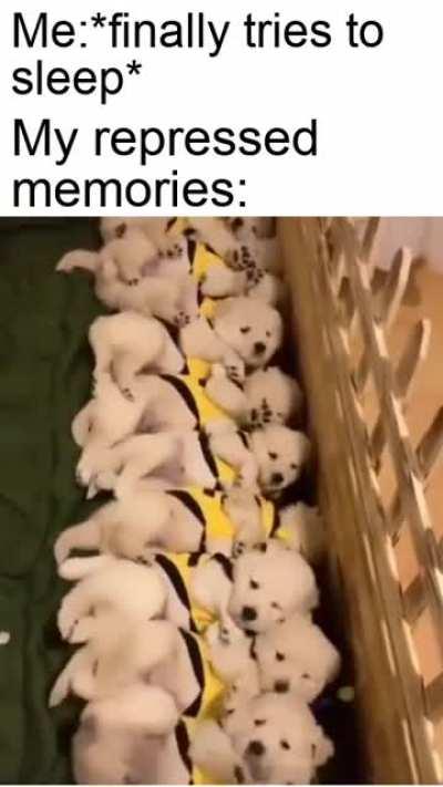 Allow us to introduce ourselves