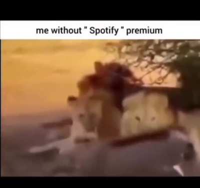 Me without spotify premium