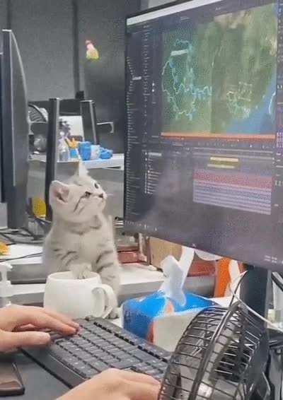 When you're assigned to train a newcomer