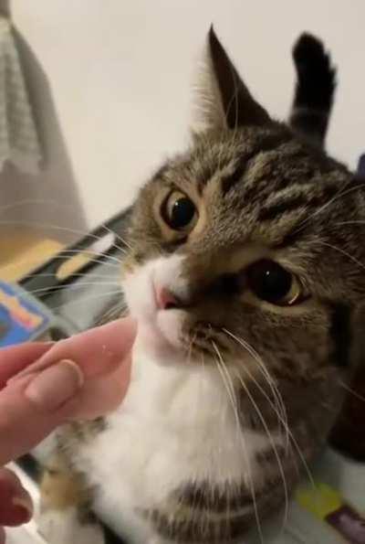 Karen, I swear to god