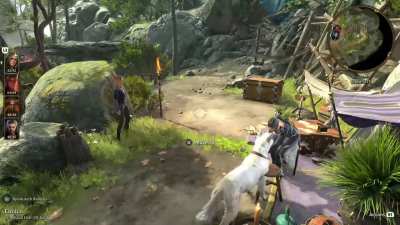 Why does Scratch only goes to the emo goth princess for scratches? Does he has preferences?