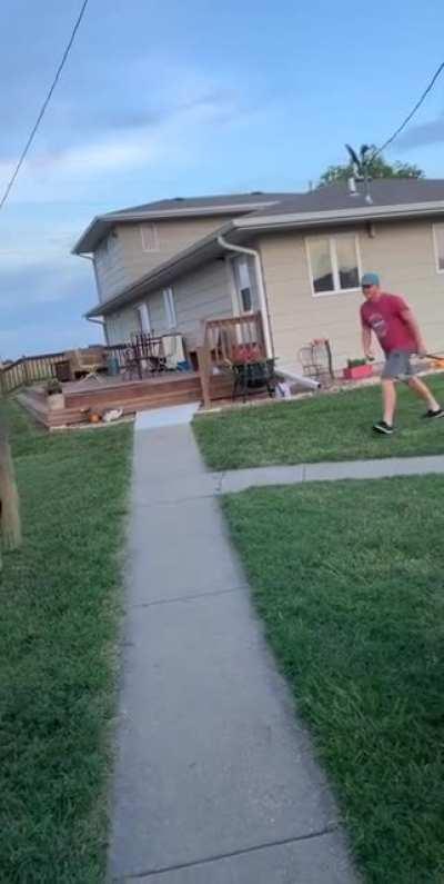Man jumps on a horse from behind