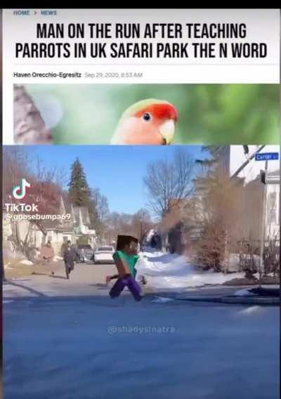 Good thing you didn't give the cookies