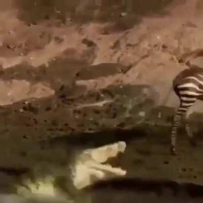 You could feel the hate