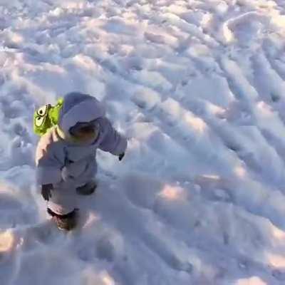 Monkey first time touches the snow.