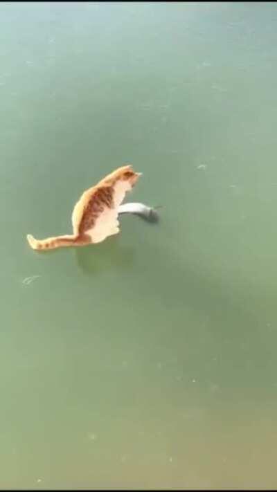 Touch Tha Frozen Fishy