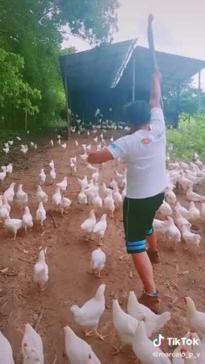 I would have cross-posted it but this sub-reddit doesn't allow that (Credit in comments)