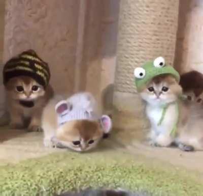 Like you all more than anything..