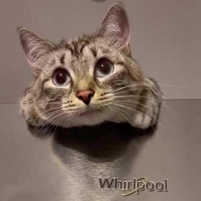 Mama..whatcha doing? *taptaptap*