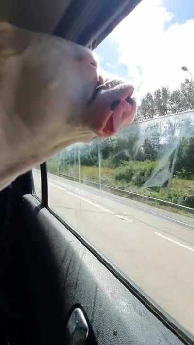 Just enjoying a drive on the m25.