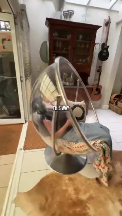 Milly's Sydney house tour | via TikTok 2024