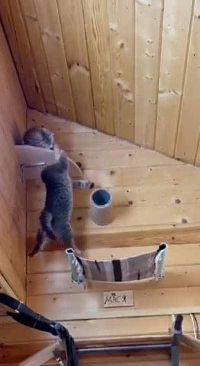 Wunky Betrayal‼️ almost ends in tragedy