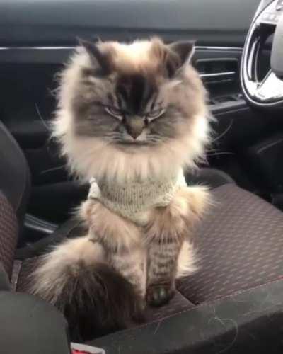 When your mom picks out your clothes