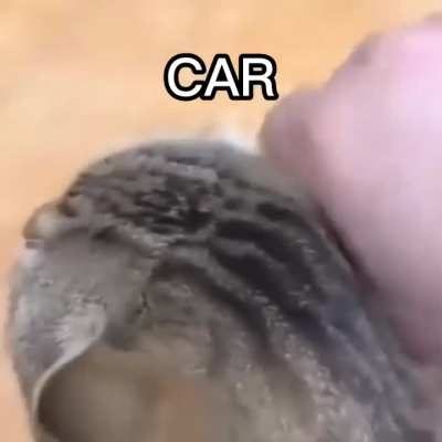 Ghthki553%Hhpbfn HEH54u5aageg2 U&U&$sss