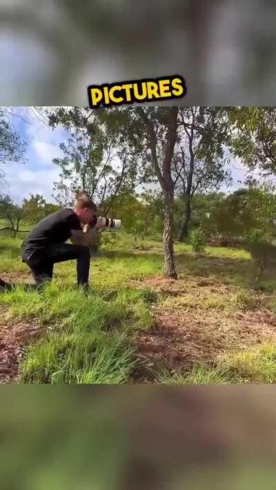 Cheetah's Unforgettable Bond with Photographer