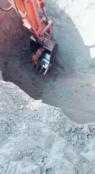 Everything went a'OK except for the landing