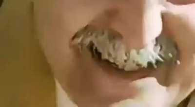 Campa&ntilde;a de la buena