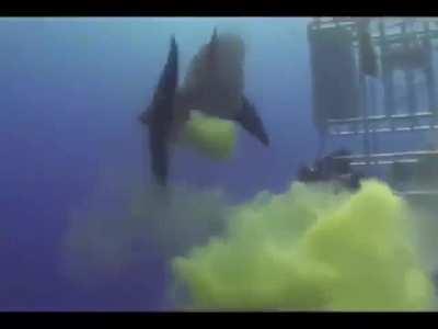 THIS OCEAN NEEDS A HERO!