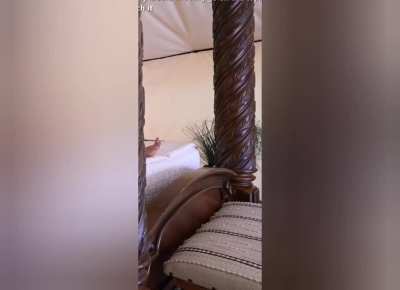 Maya camping w/ Emiru - August 2025