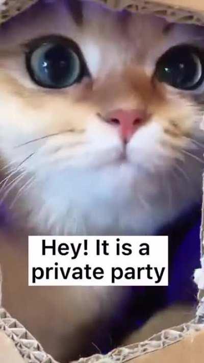 Hooman not Allowed!!!