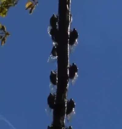 You all know that light drizzle on a sunny day mid summer.