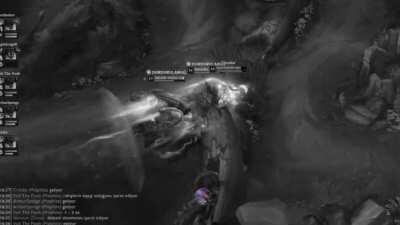 She wanted to get the bird, We wanted to take our Solid Bro's Revenge