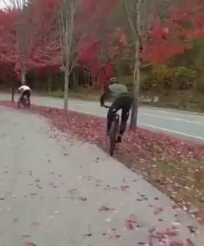 The fall fall