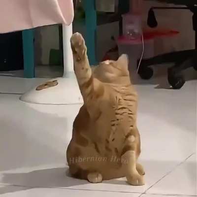 Me to non Algerians!!