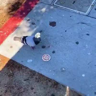 Dronewere brought to buy Domino's