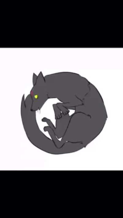 what did megumin mean by this?