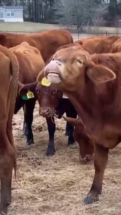 Hey, what are you doing?! 😂