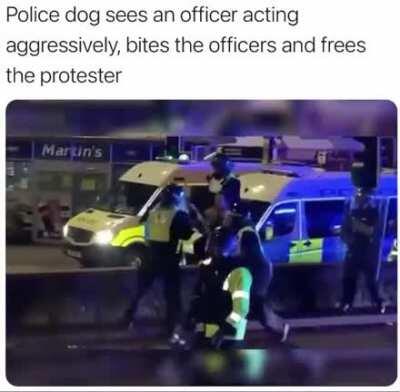 Professionals have standards. Source: Bristol protests.