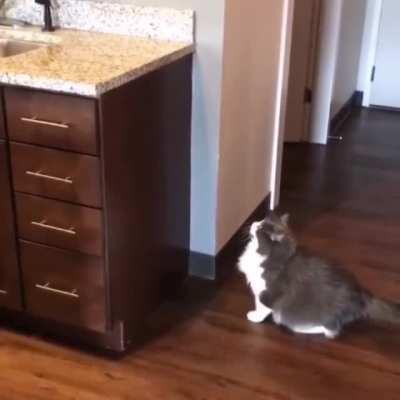 THE STRUGGLE CONTINUES