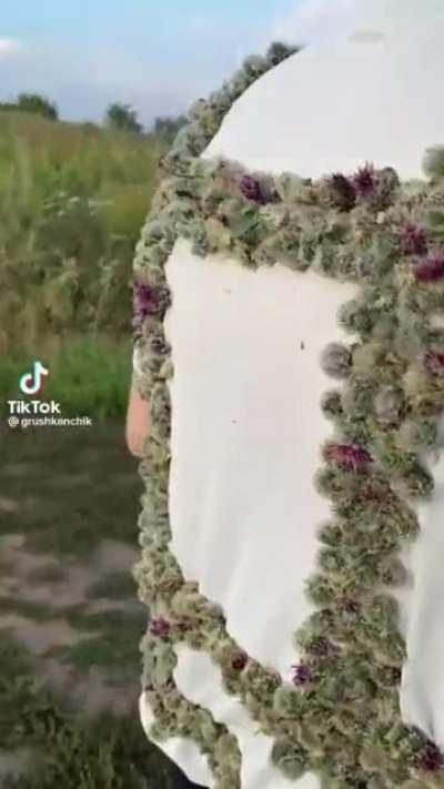 Steve, protector of Australia, wielder of cacti.