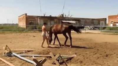 Horse Helps Girl Who Is Struggling To Get On