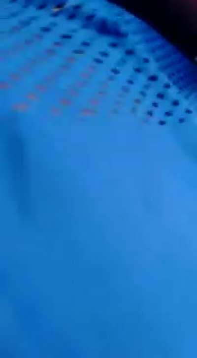 a friendly little bird